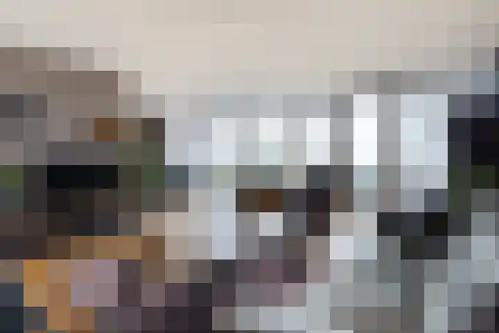 Trekwei 3 Driezum thumbnail 18
