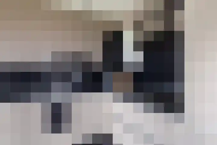 Trekwei 3 Driezum thumbnail 21