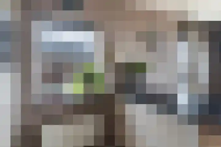 Trekwei 3 Driezum thumbnail 22