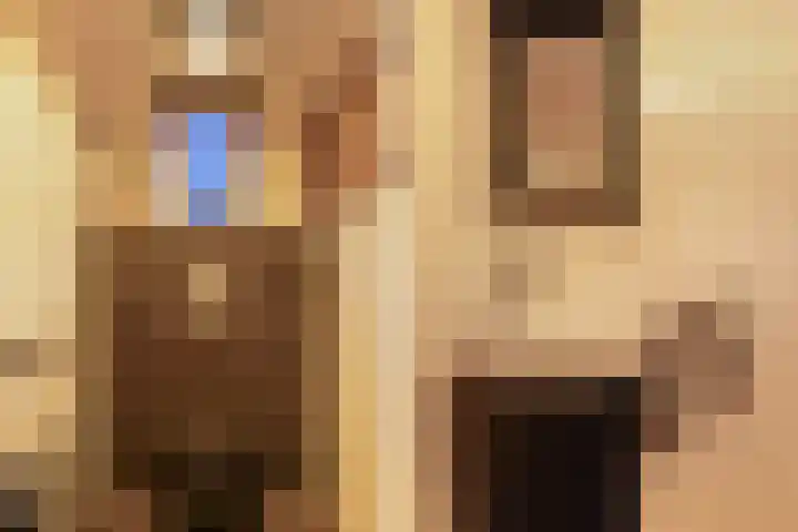 Trekwei 3 Driezum thumbnail 27