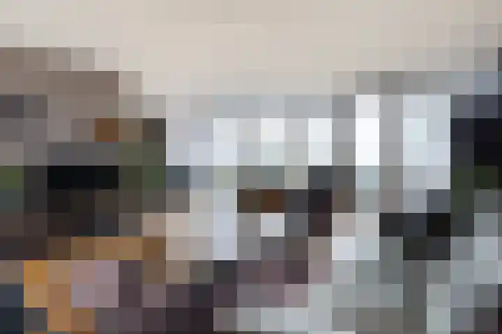 Trekwei 3 Driezum foto 3