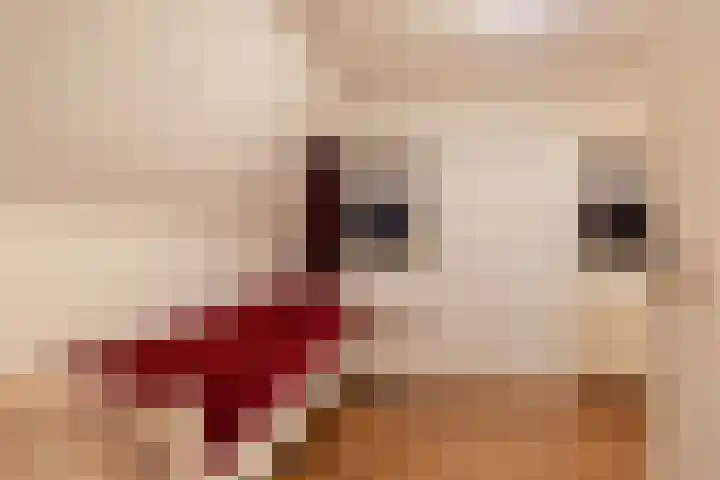Trekwei 3 Driezum thumbnail 31