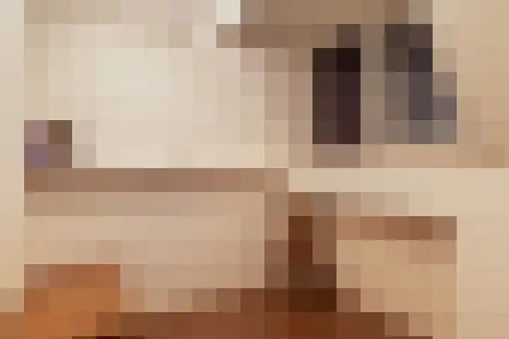 Trekwei 3 Driezum thumbnail 33