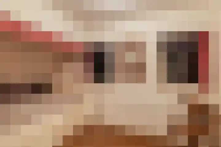 Trekwei 3 Driezum thumbnail 34