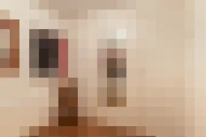 Trekwei 3 Driezum thumbnail 35