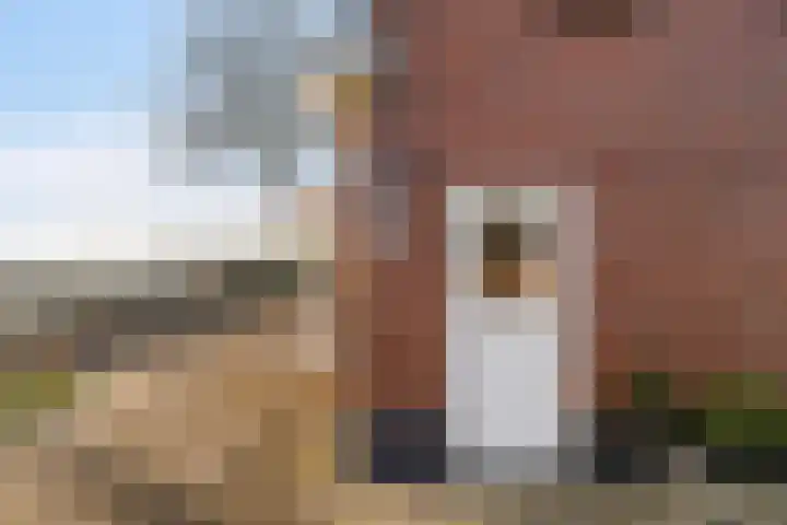 Trekwei 3 Driezum thumbnail 37
