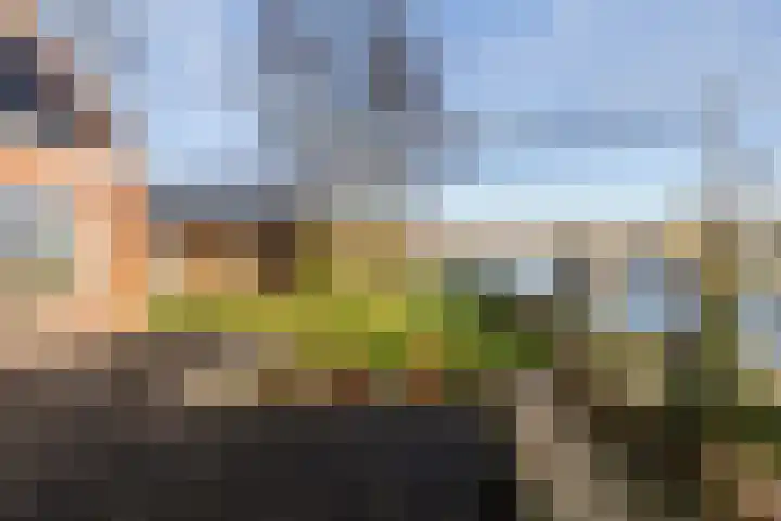 Trekwei 3 Driezum thumbnail 39