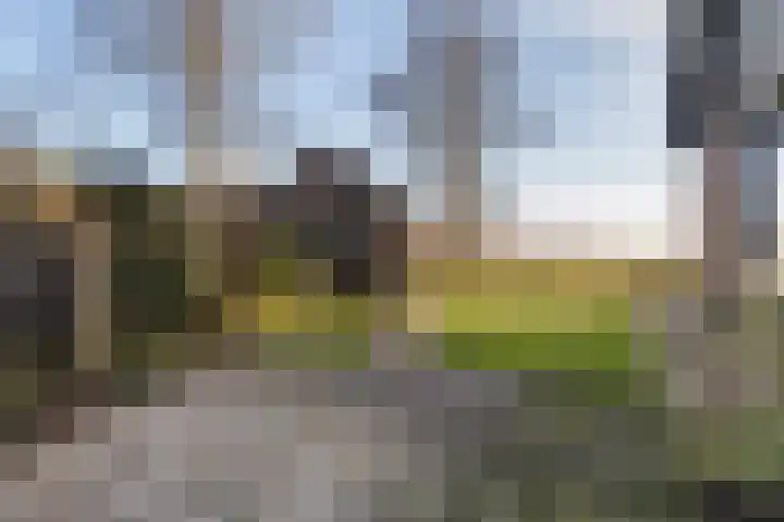 Trekwei 3 Driezum thumbnail 41