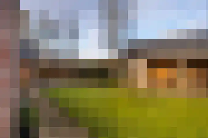 Trekwei 3 Driezum thumbnail 45