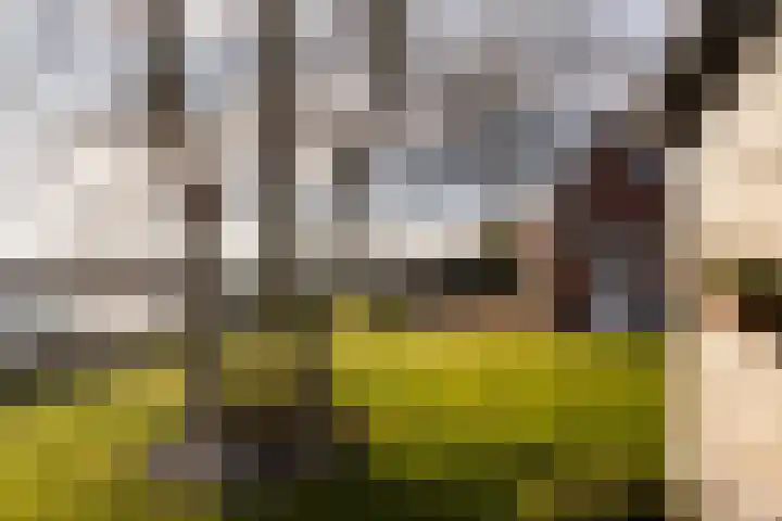 Trekwei 3 Driezum thumbnail 46