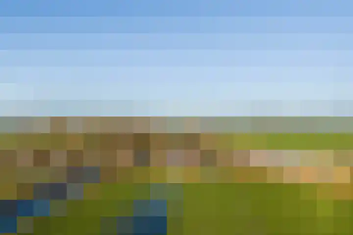 Trekwei 3 Driezum thumbnail 48