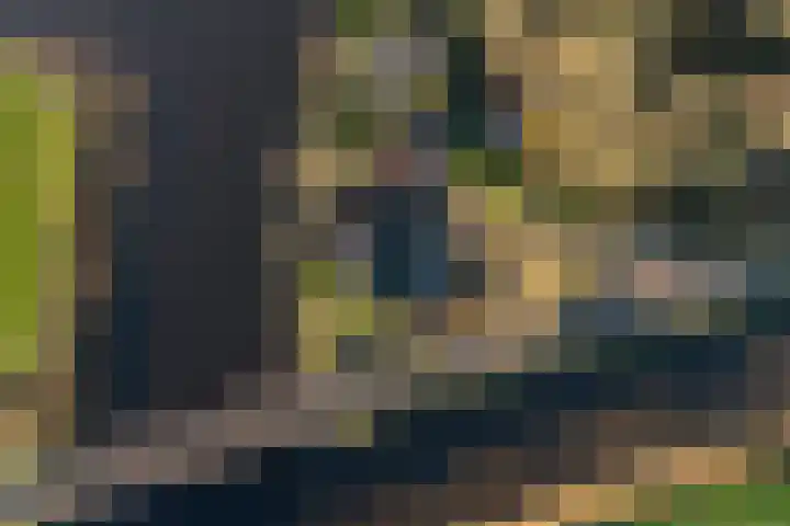 Trekwei 3 Driezum thumbnail 49