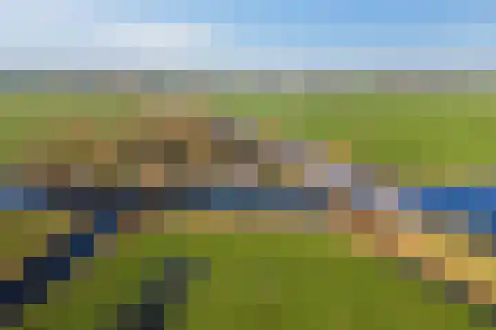 Trekwei 3 Driezum thumbnail 6