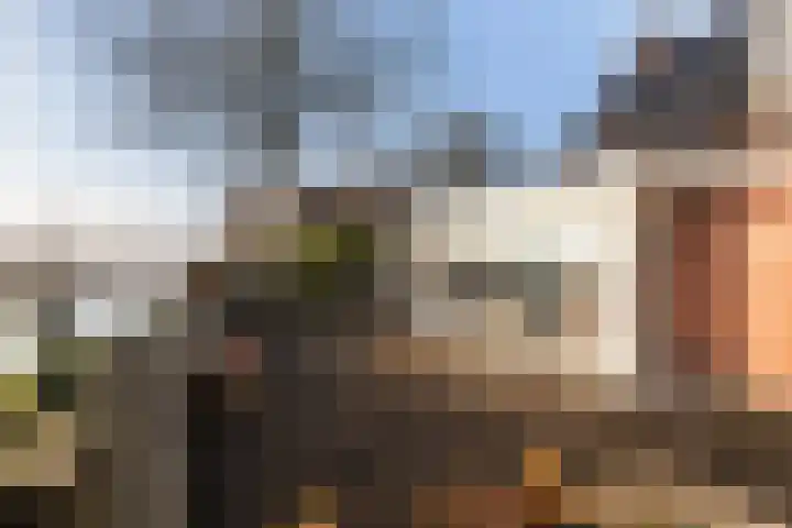 Trekwei 3 Driezum thumbnail 7