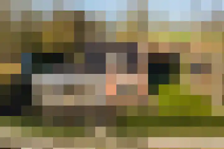 Trekwei 3 Driezum thumbnail 8