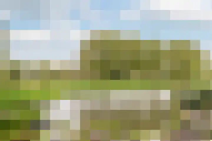 Trelleborg 22 Schiedam thumbnail 17