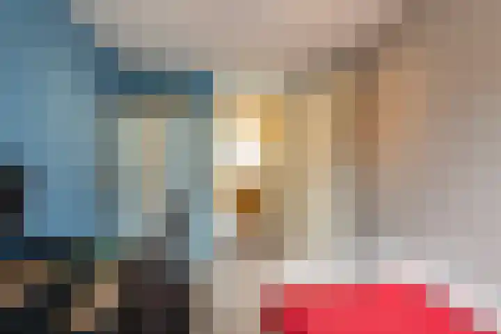 Trelleborg 22 Schiedam thumbnail 21
