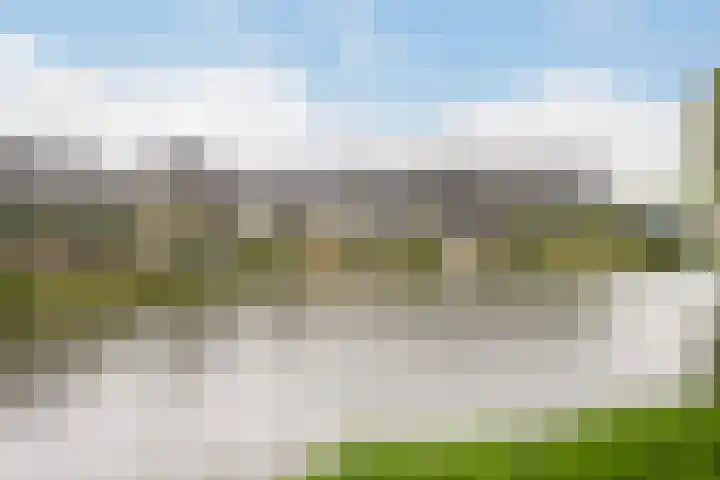 Trelleborg 22 Schiedam thumbnail 34