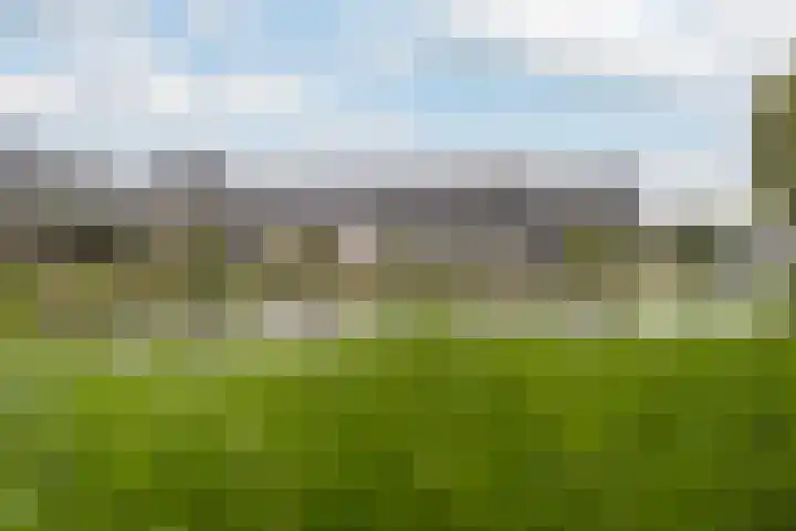 Trelleborg 22 Schiedam thumbnail 35