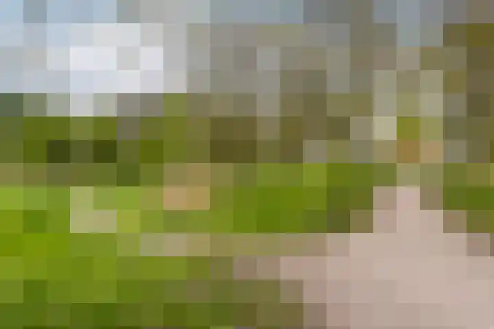 Trelleborg 22 Schiedam thumbnail 36