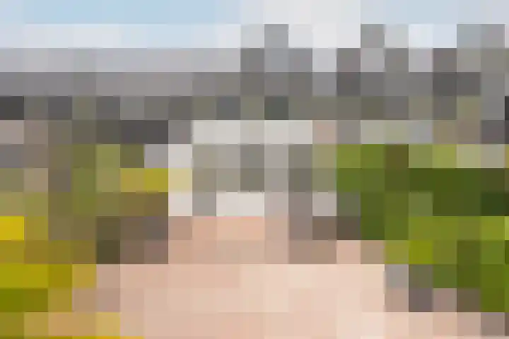 Trelleborg 22 Schiedam thumbnail 4