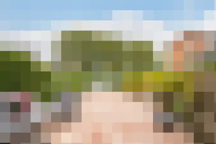 Trelleborg 22 Schiedam thumbnail 41
