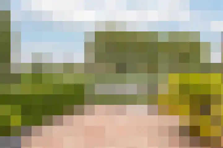 Trelleborg 22 Schiedam thumbnail 7