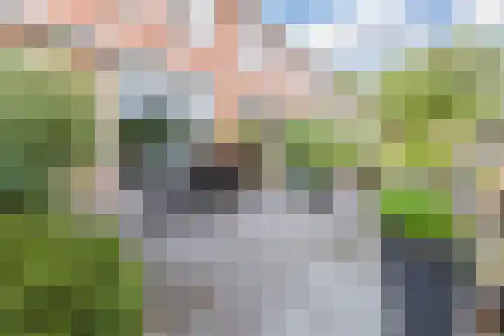 Treublaan 9 Uithoorn thumbnail 39