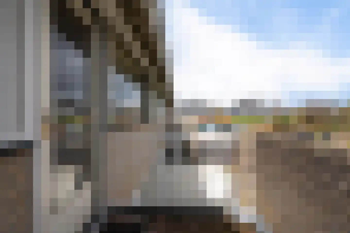 Treubstraat 21 Assen thumbnail 25