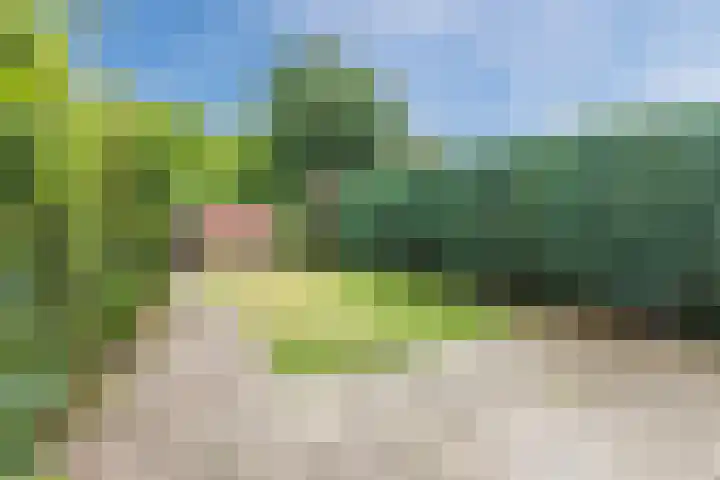 Treubstraat 66 Dieren thumbnail 37