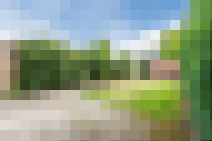 Treubstraat 66 Dieren thumbnail 38