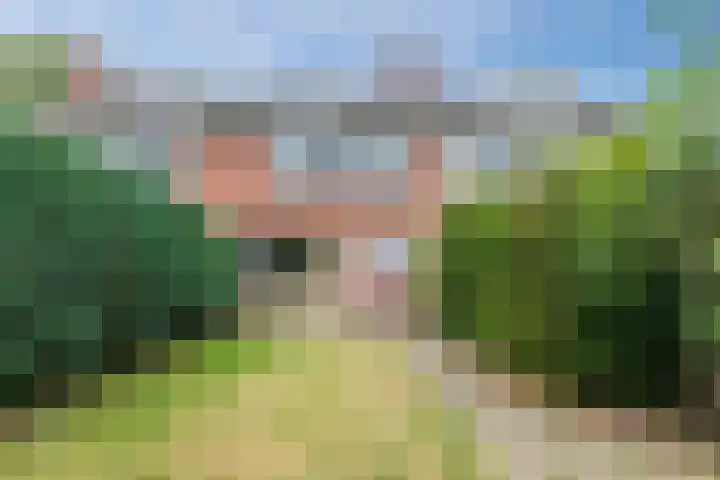 Treubstraat 66 Dieren thumbnail 40
