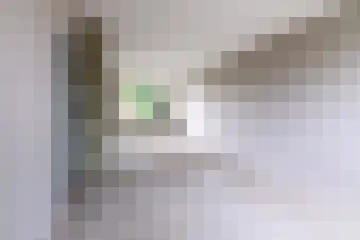 Treubstraat 66 Dieren thumbnail 7