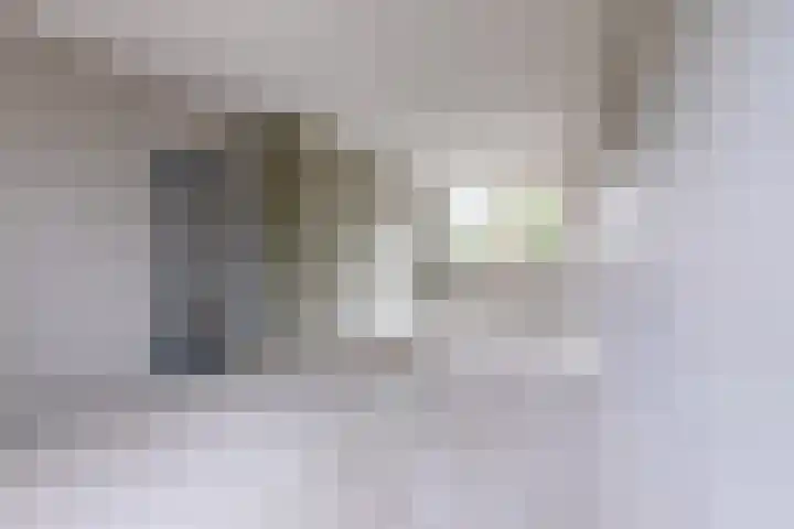 Treubstraat 66 Dieren thumbnail 8