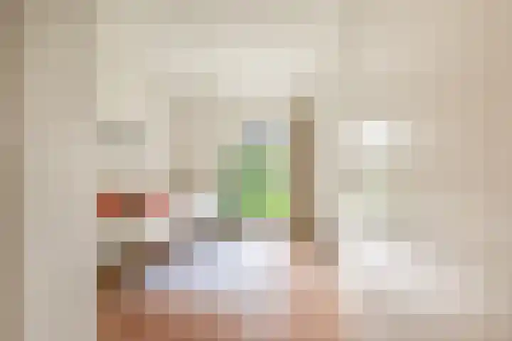 Triade 2 Castricum thumbnail 27