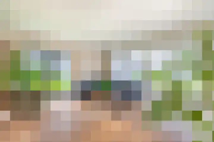 Triade 2 Castricum foto 3