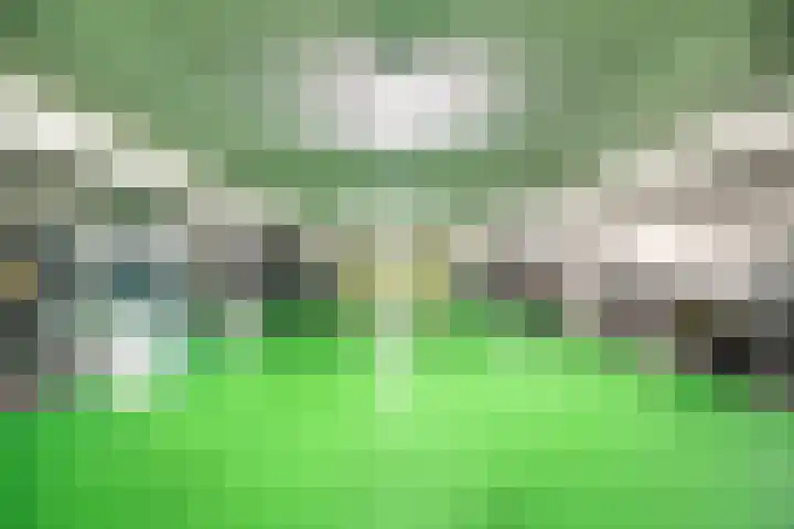 Triade 2 Castricum thumbnail 33