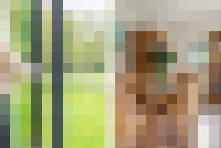 Triade 2 Castricum thumbnail 9