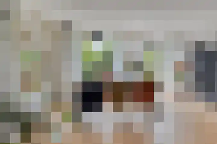 Triangeldreef 53 Etten-Leur thumbnail 13