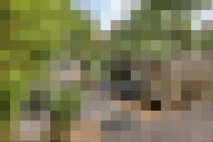 Triangeldreef 53 Etten-Leur thumbnail 23