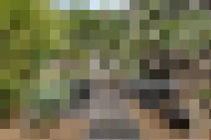 Triangeldreef 53 Etten-Leur thumbnail 24
