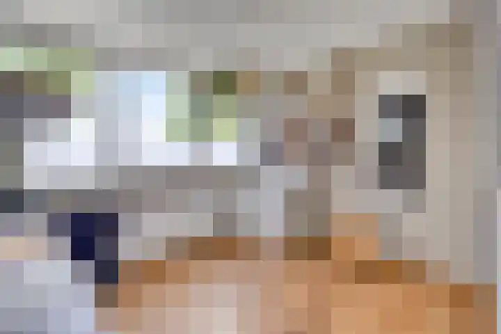 Triangeldreef 53 Etten-Leur thumbnail 31
