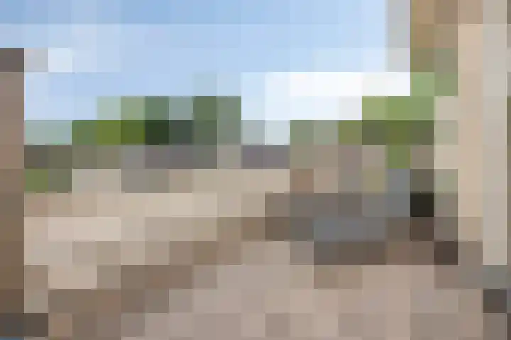Triangeldreef 53 Etten-Leur thumbnail 35