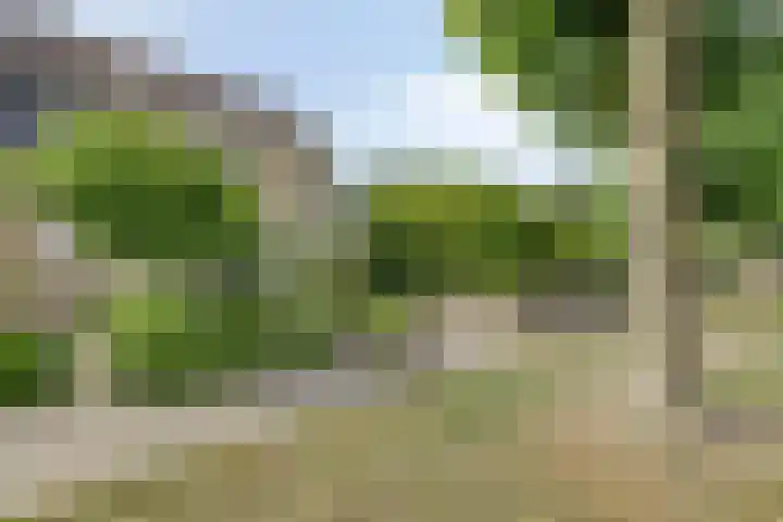Triangeldreef 53 Etten-Leur thumbnail 37