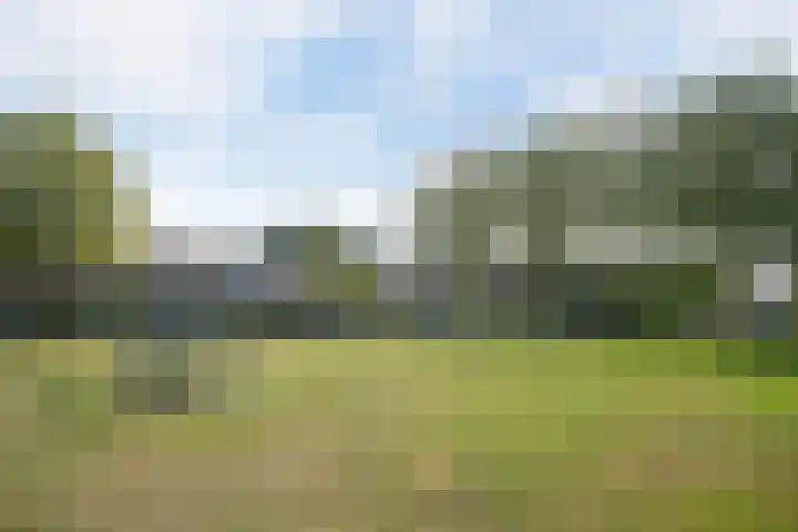 Triangeldreef 53 Etten-Leur thumbnail 38