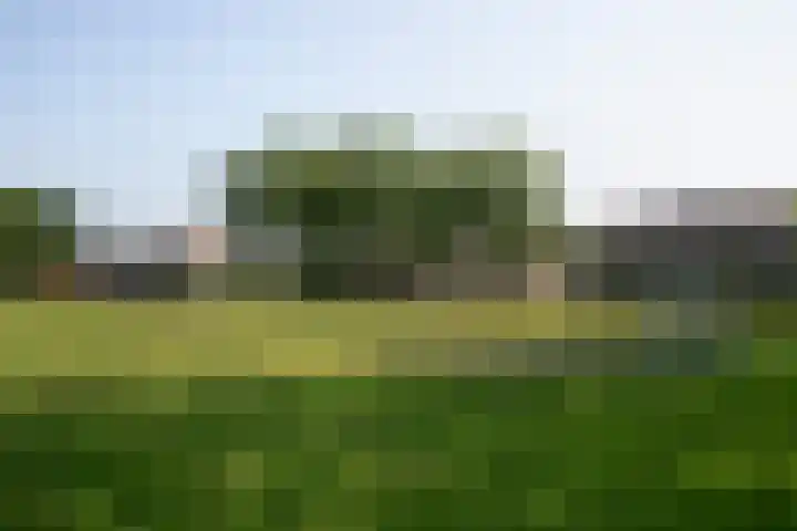 Triangeldreef 53 Etten-Leur thumbnail 39