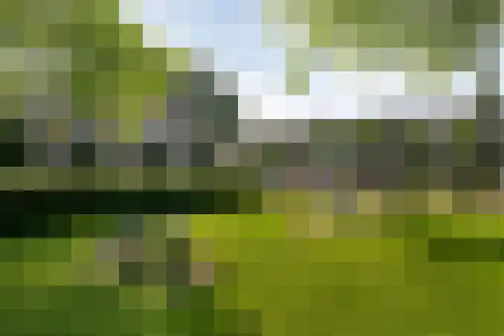 Triangeldreef 53 Etten-Leur thumbnail 40