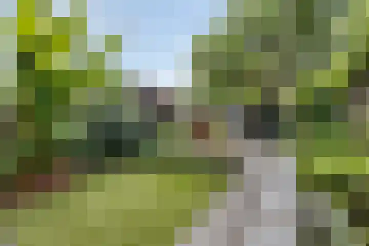 Triangeldreef 53 Etten-Leur thumbnail 5