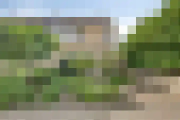 Triangeldreef 53 Etten-Leur thumbnail 7