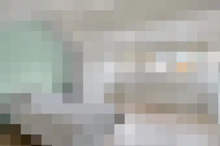 Triangelstraat 40 Uden thumbnail 25